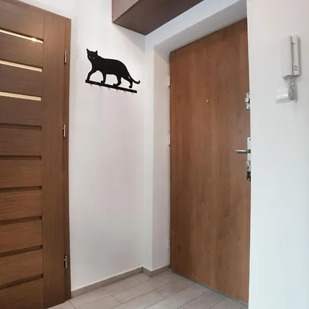 Elektoralna Apartman